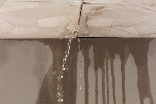 Professional Burst Pipe Cleanup technician working in Dayton, MN